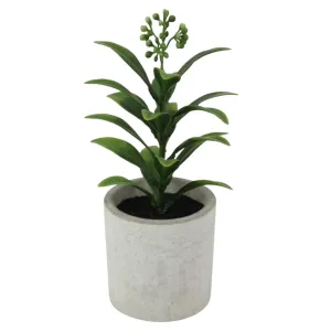 Decorative Pot Plant 21cm