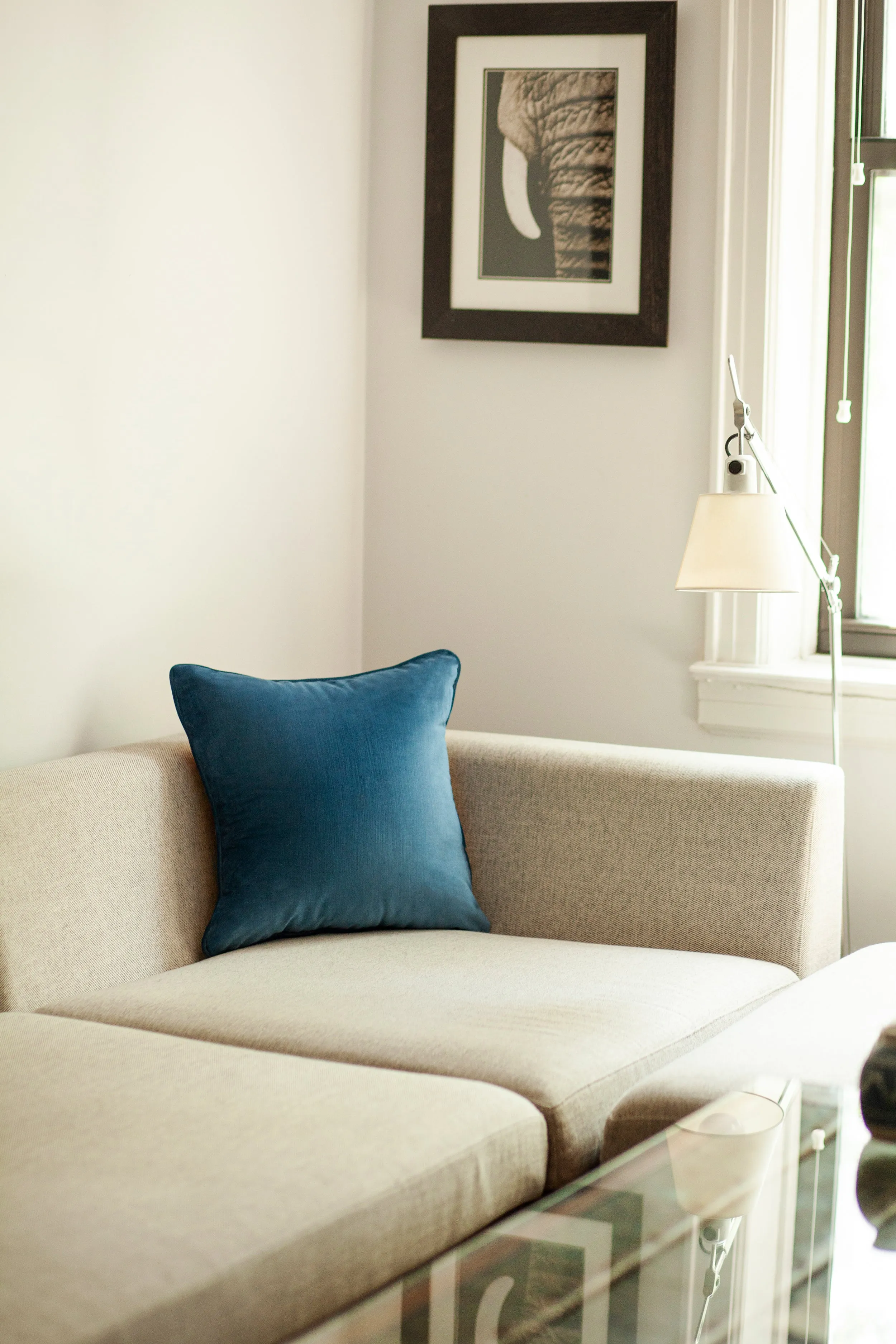 Good Luck Decorative Pillow